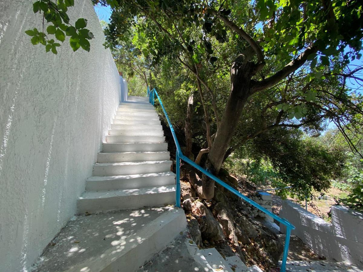 Oleander'S Garden Traditional Cretan Cottage Ферма Екстериор снимка