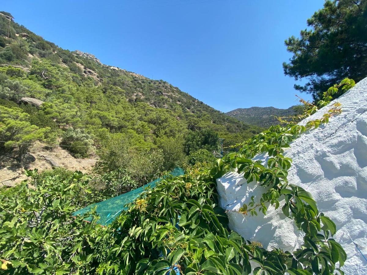 Oleander'S Garden Traditional Cretan Cottage Ферма Екстериор снимка