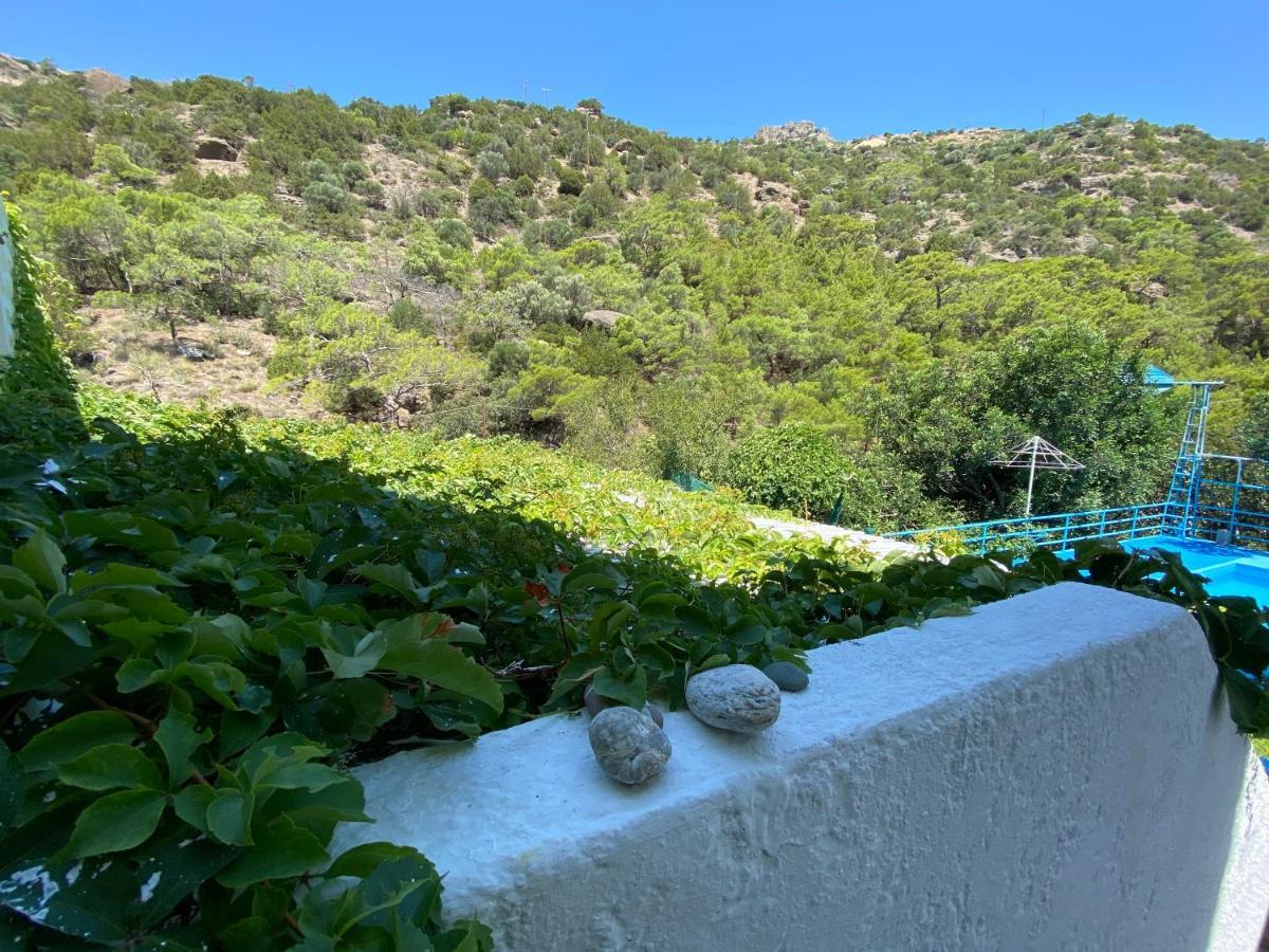 Oleander'S Garden Traditional Cretan Cottage Ферма Екстериор снимка