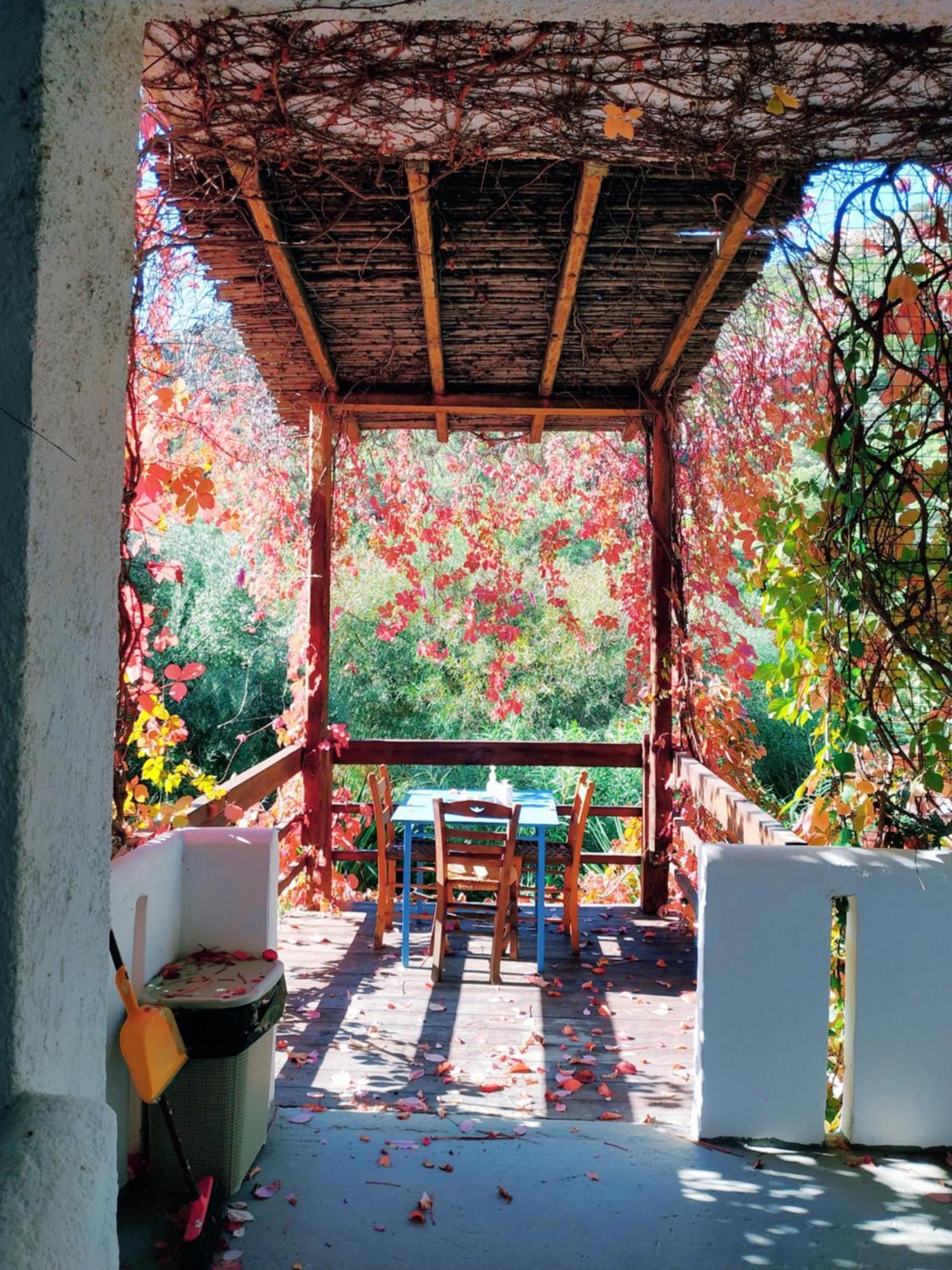 Oleander'S Garden Traditional Cretan Cottage Ферма Екстериор снимка