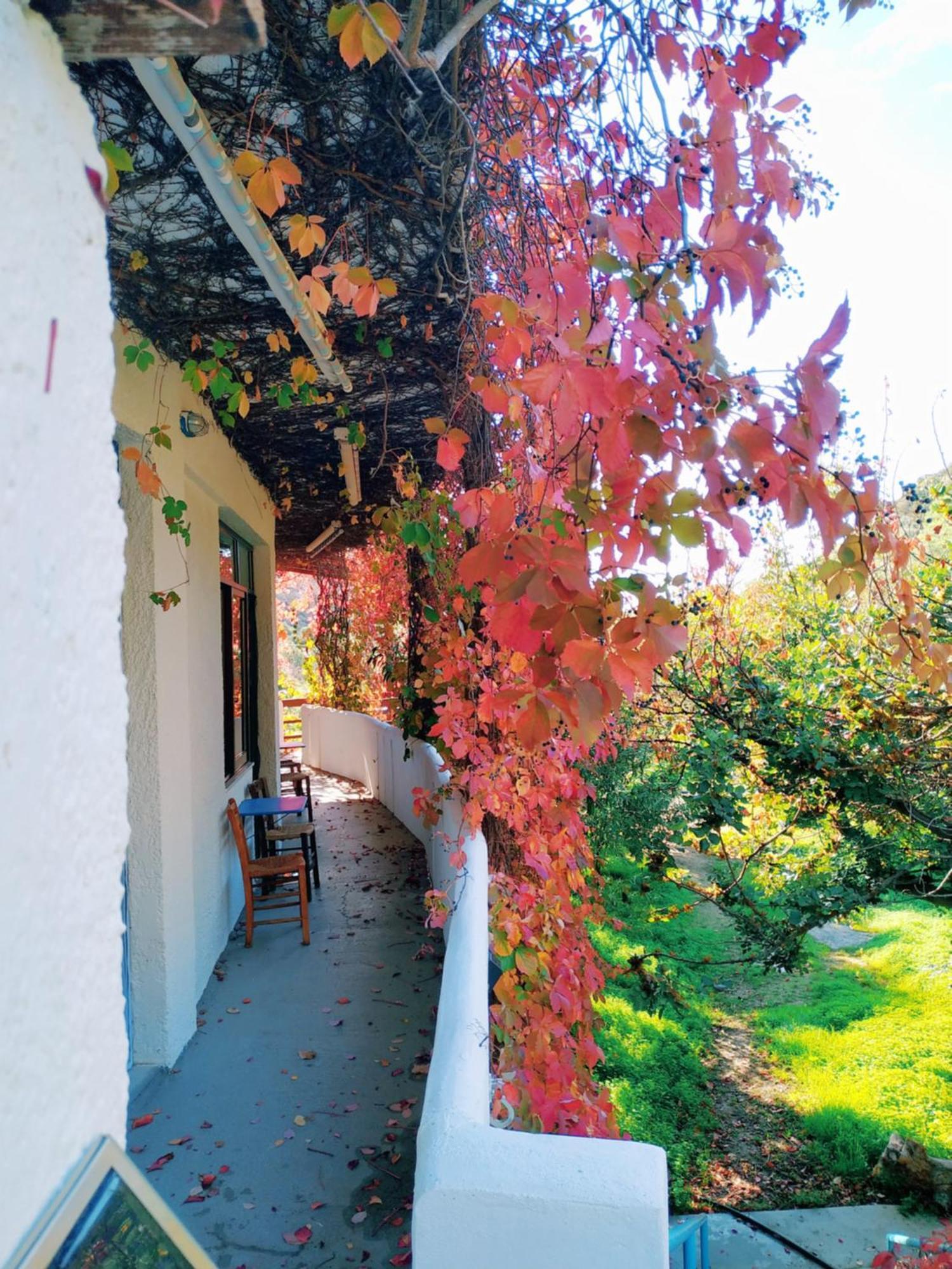 Oleander'S Garden Traditional Cretan Cottage Ферма Екстериор снимка