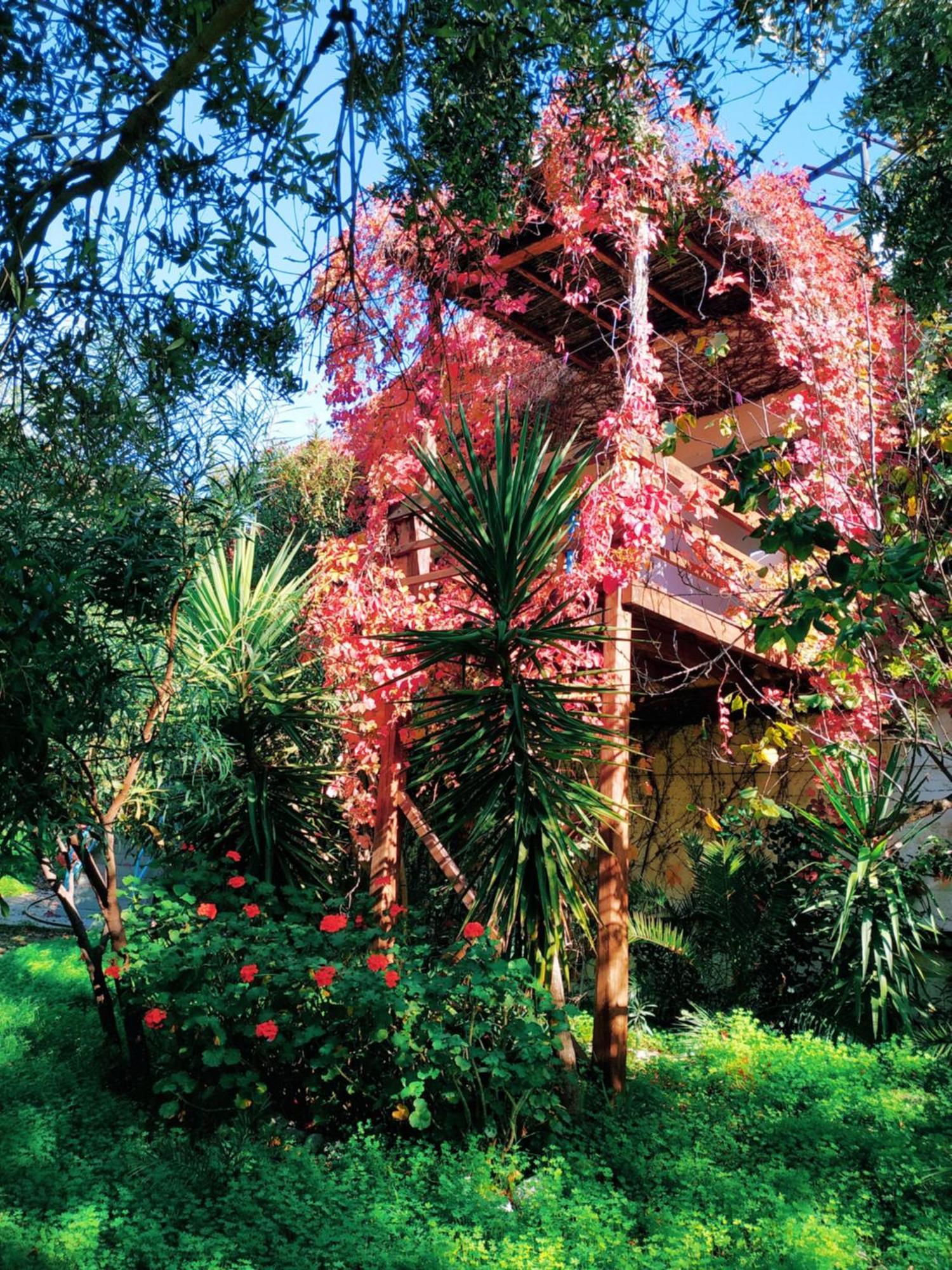 Oleander'S Garden Traditional Cretan Cottage Ферма Екстериор снимка