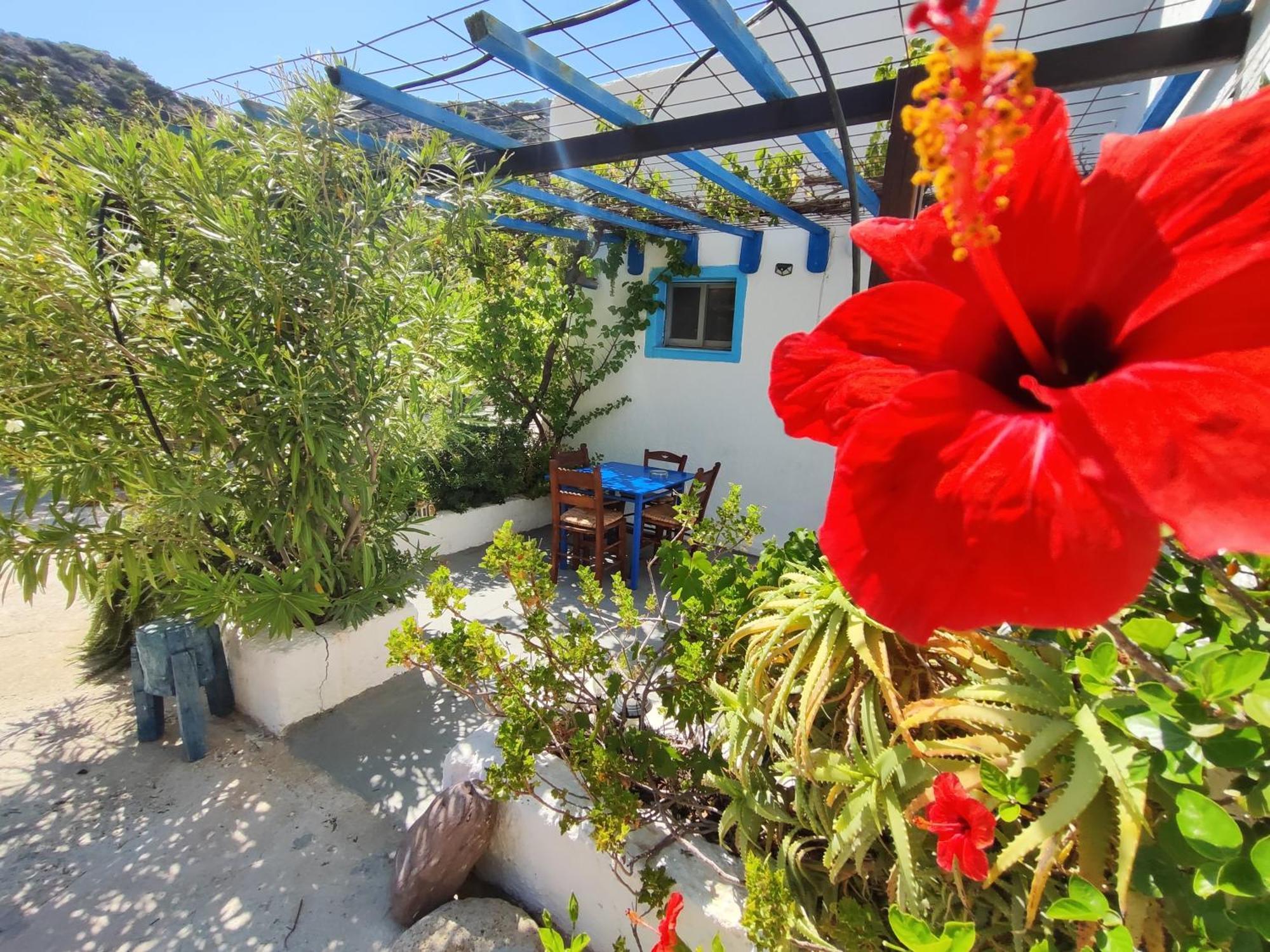 Oleander'S Garden Traditional Cretan Cottage Ферма Екстериор снимка