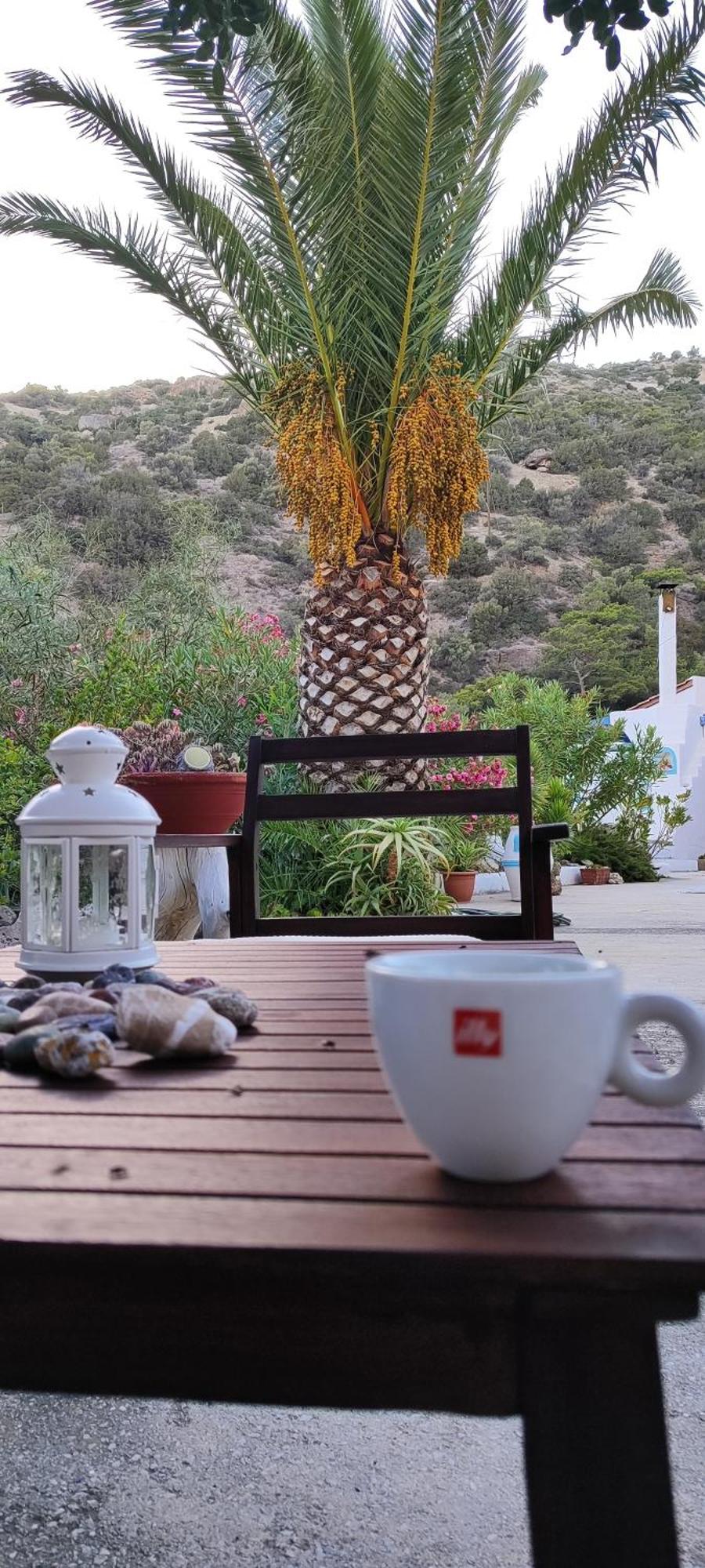 Oleander'S Garden Traditional Cretan Cottage Ферма Екстериор снимка