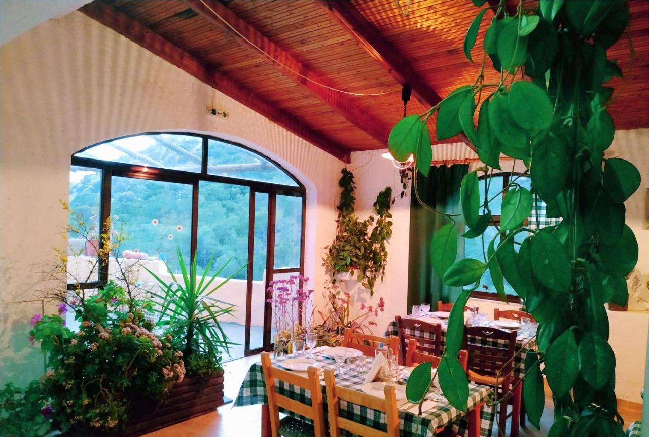 Oleander'S Garden Traditional Cretan Cottage Ферма Екстериор снимка